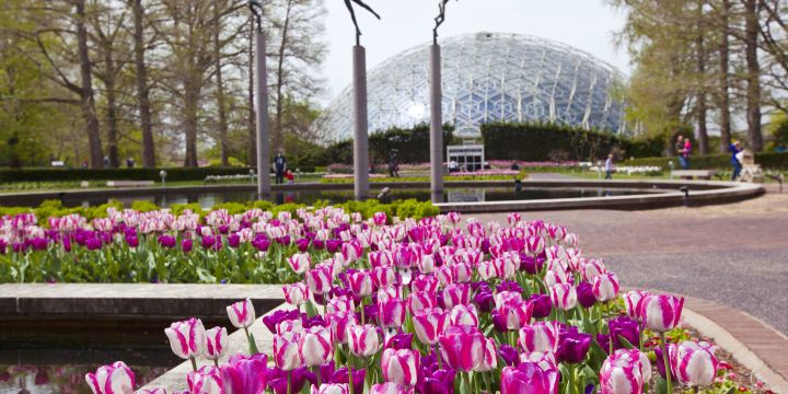 Missouri Botanical Garden