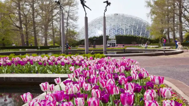 Hotels in der Nähe von Missouri Botanical Garden