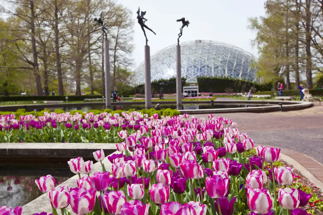 Hotels near Missouri Botanical Garden