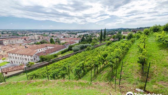 Castle of Conegliano
