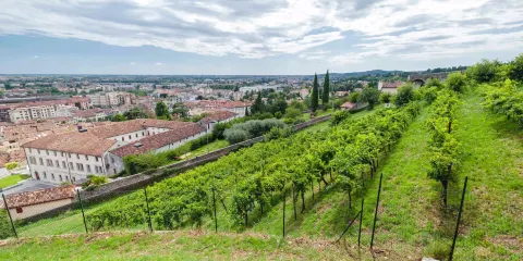 Castle of Conegliano