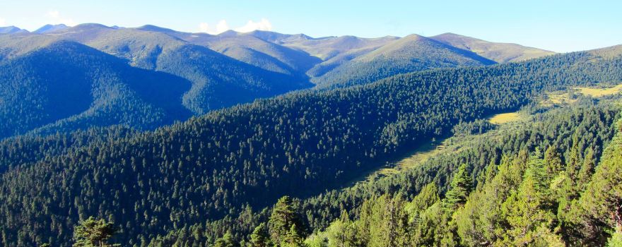 Sejila National Forest Park