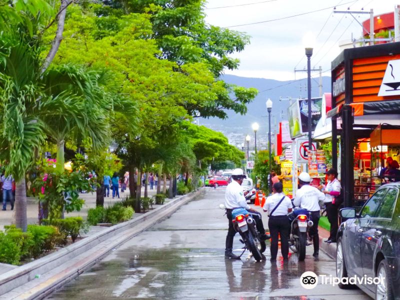Malabo to Tuxtla Gutierrez Flights