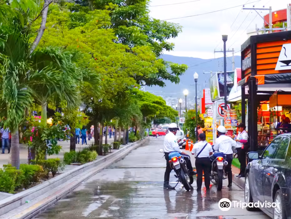 Vuelos Guadalajara Tuxtla Gutiérrez