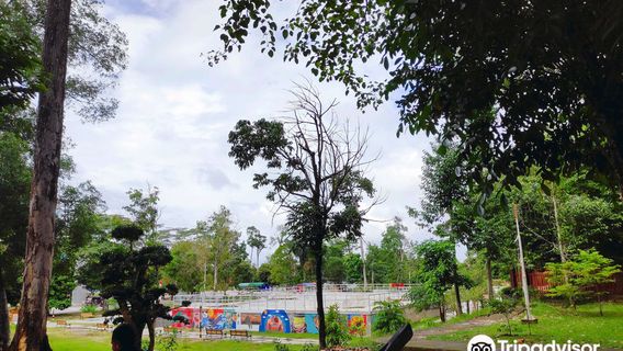 Taman Hutan Kota Langsa