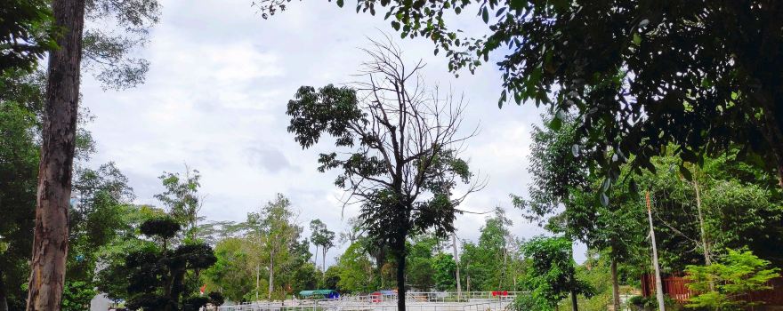 Taman Hutan Kota Langsa