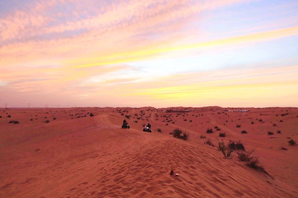 Sharjah Desert Park