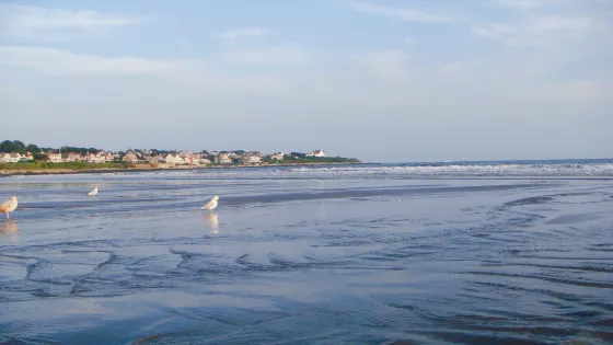 Easton's Beach