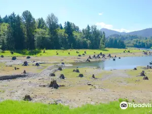 Alder Lake Park