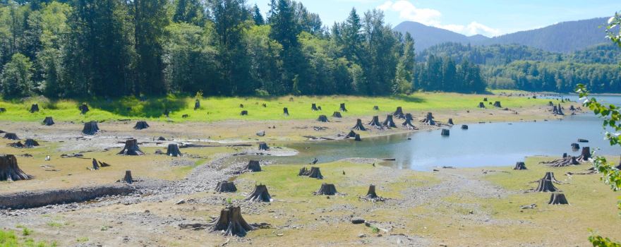 Alder Lake Park