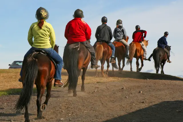 Horse Riding in Iceland