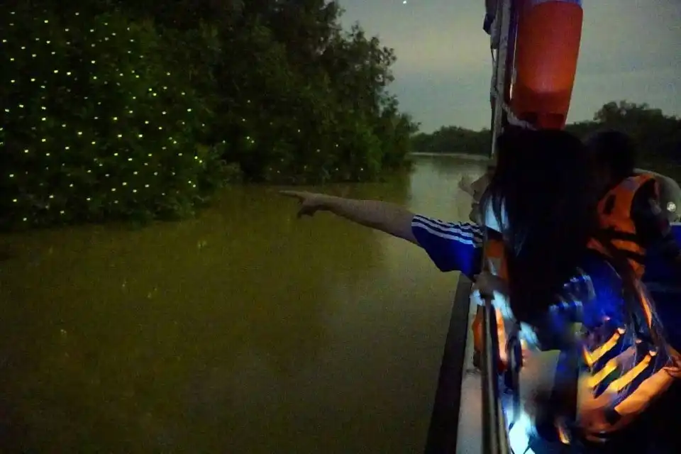 2_Kuala Selangor Fireflies