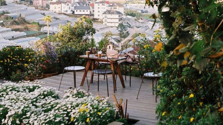 Tiệm Cà Phê Túi Mơ To