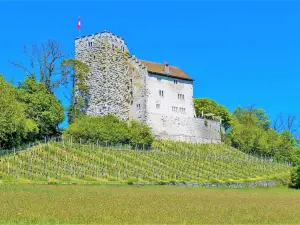 Castello di Habsburg
