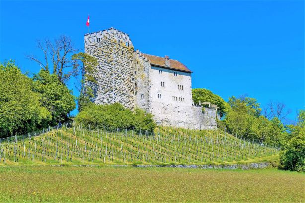 Habsburg Castle