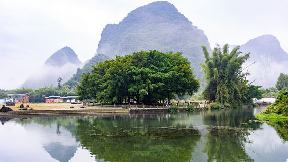 The Grand Banyan Tree