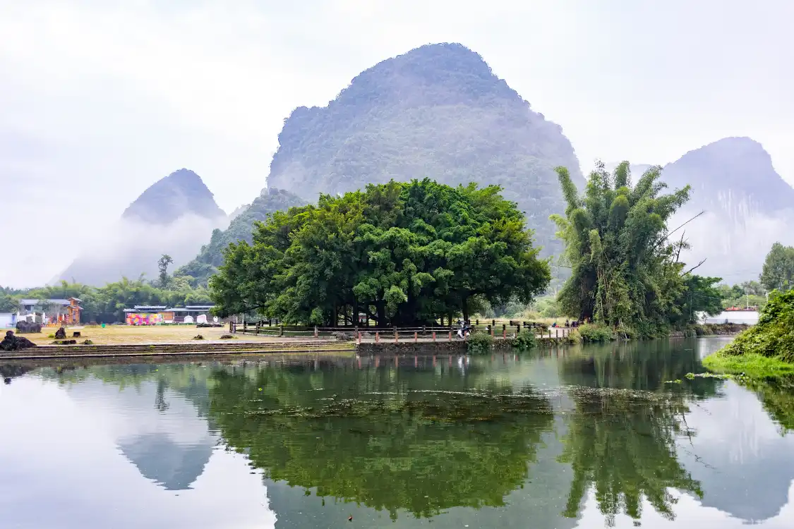 Hotels near The Grand Banyan Tree