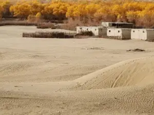 da li ya bu yi min su cun