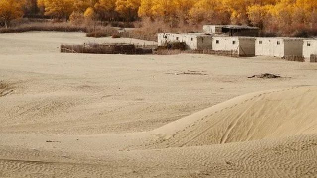 da li ya bu yi min su cun