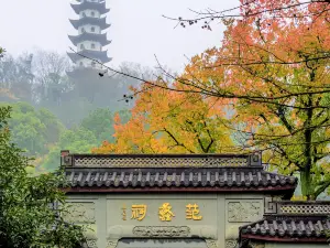 Xishi Native Place