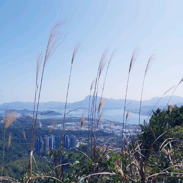 耗體力之行：大埔頭去流水響