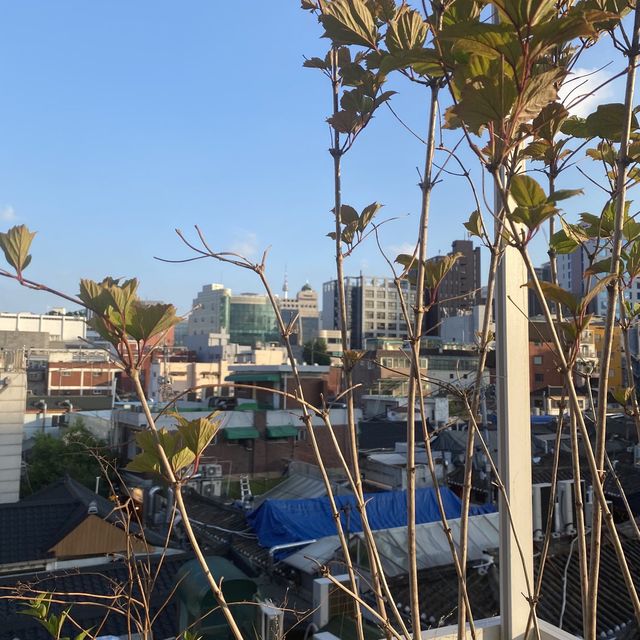 익선동 루프탑 카페 ‘끼룩하우스’
