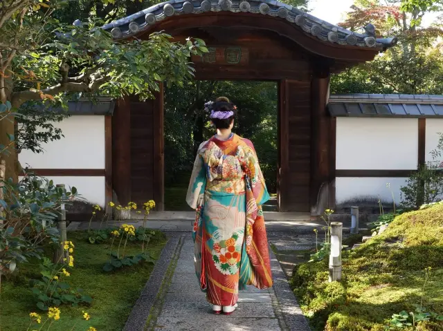 高台寺で優雅な竹林を満喫