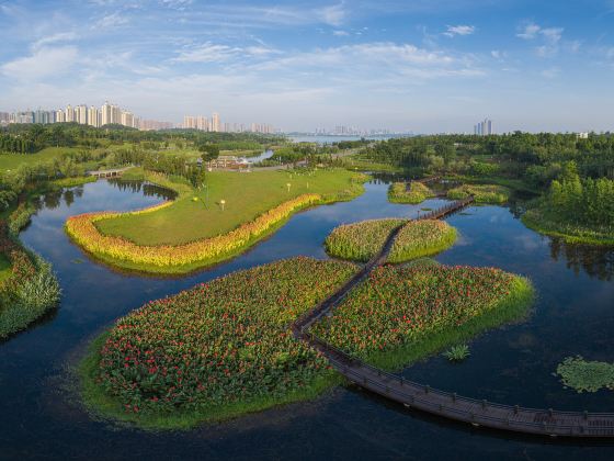 松雅湖濕地公園