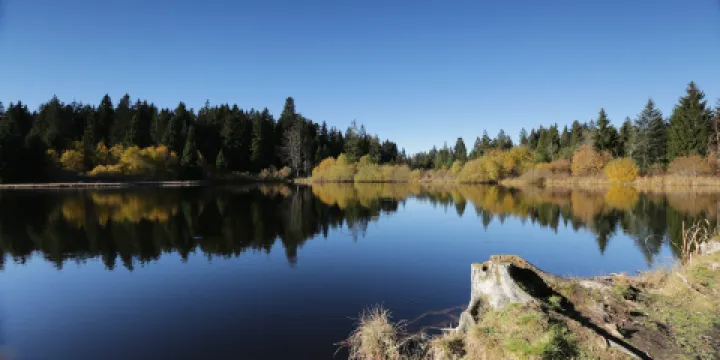 Malvern Urban Forest