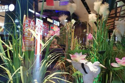 湖上人家(竹竿巷店)