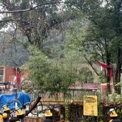 JOIN MAMA User Photo