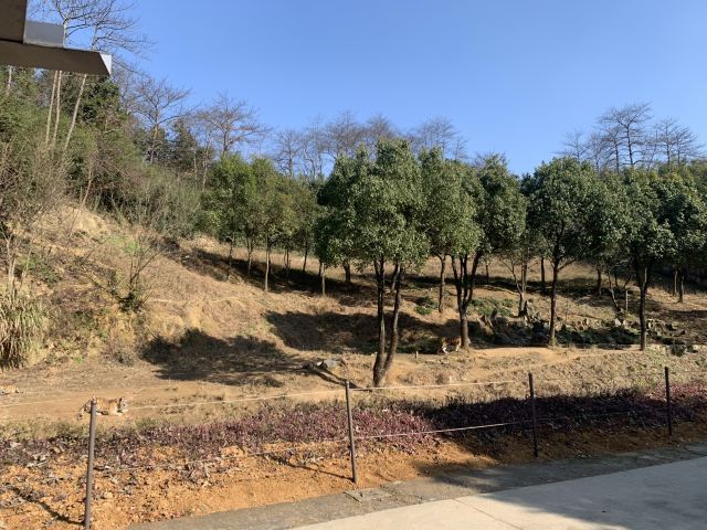 항저우 야생동물원(항주 야생동물세계)