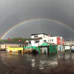 Oban Seafood Hut.. (Green Shack) User Photo