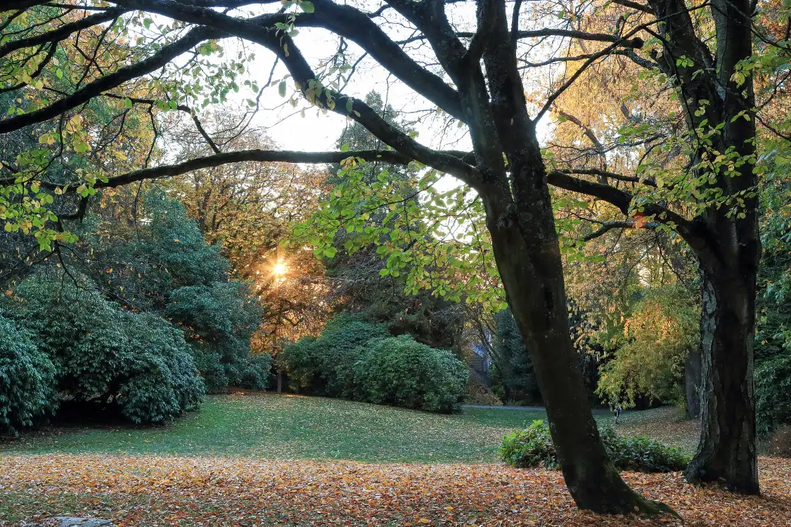 Hotels near Shunyi Park