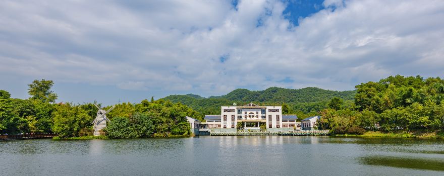 Things to Do in Tangxia Town in 2024 - Top Attractions, Local Food ...