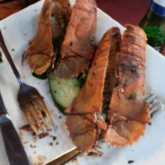 Ristorante Il Piccolo Mondo User Photo