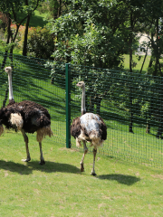 紫清湖野生動物世界