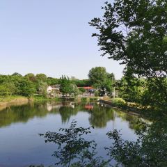 濮塘農家菜館張用戶圖片