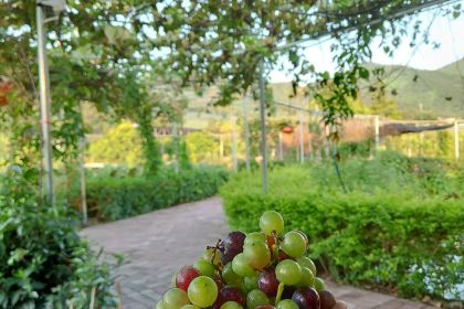 花花休闲农场(集成店)