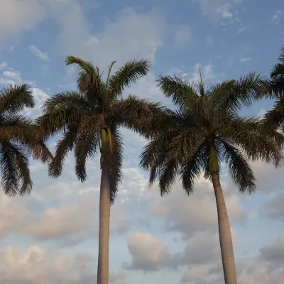 Four Seasons Hotel Miami