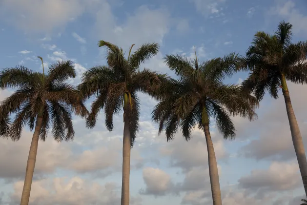 Отели рядом со станцией Santa Clara Station