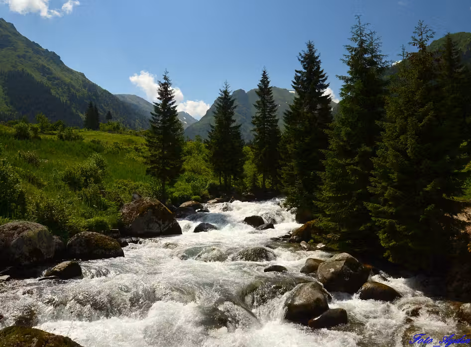 Sofia Rize uçak bileti
