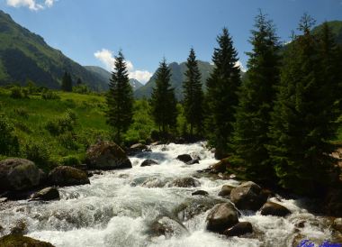 Rize