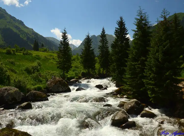 Hotels near Medi Soho Rafting