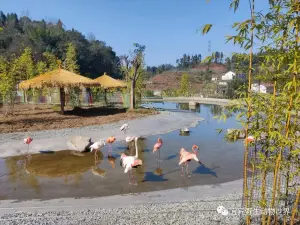 Yibin Wildlife World