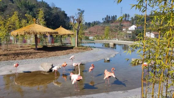 Yibin Wildlife World