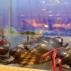 Crab Kitchen User Photo