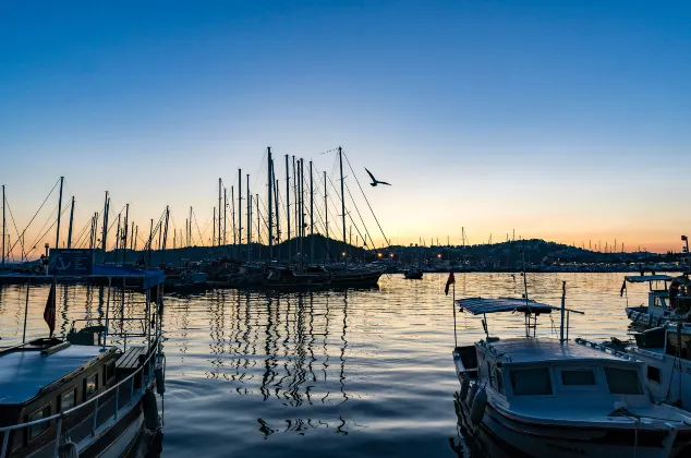 Vé máy bay Bodrum Zaporozhye