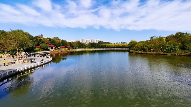 Tianjin Tanggu Forest Park