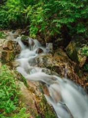 Chengzi Mountain Sceneic Area